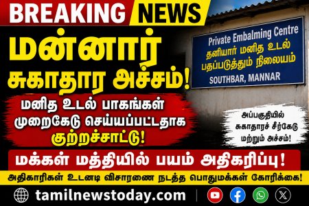 மன்னார் சவுத்பார் பகுதியில் சுகாதார அச்சம்! மனித உடல் பாகங்கள்